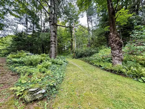 Exterior - 756 Birch Hill Rd, Windham, VT 05359 photo 5 of 21