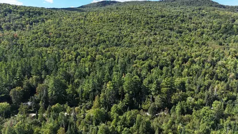 0 North Rd, Guildhall, VT 05905 photo 27