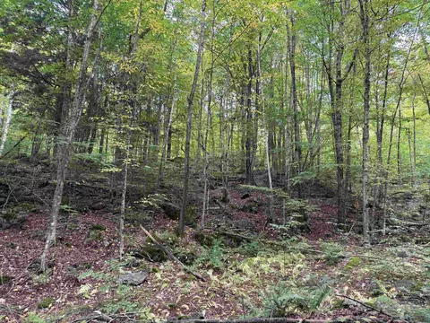 0 North Rd, Guildhall, VT 05905 photo 26