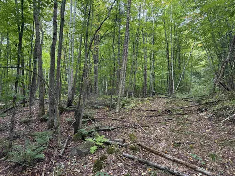 0 North Rd, Guildhall, VT 05905 photo 25