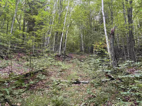 0 North Rd, Guildhall, VT 05905 photo 23