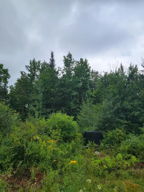 1530 Somerset Rd, Somerset, VT 05363