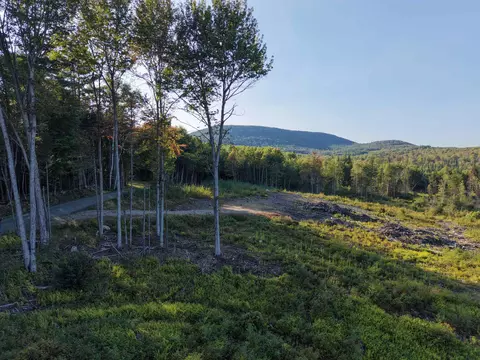 1010 Fellows Rd, Guildhall, VT 05905 photo 11