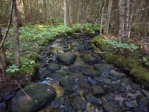 1010 Fellows Rd, Guildhall, VT 05905 photo 24