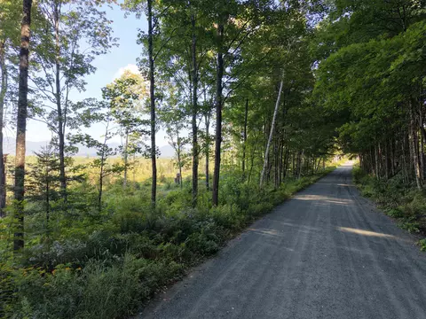 1010 Fellows Rd, Guildhall, VT 05905 photo 37