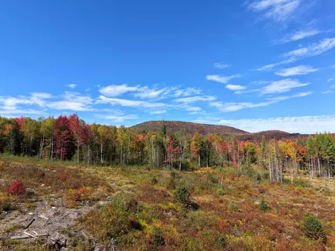 1010 Fellows Rd, Guildhall, VT 05905 photo 9