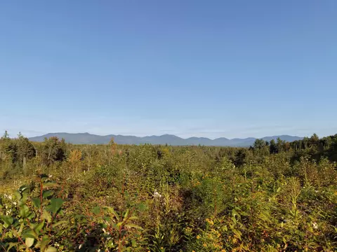 1010 Fellows Rd, Guildhall, VT 05905 photo 22