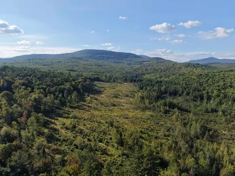 1010 Fellows Rd, Guildhall, VT 05905 photo 34
