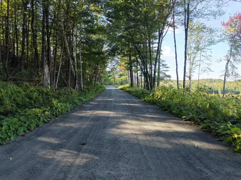 1010 Fellows Rd, Guildhall, VT 05905 photo 29