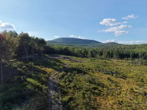 1010 Fellows Rd, Guildhall, VT 05905 photo 31