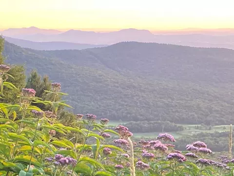 1445 Stevens Mill Rd, Jay, VT 05859 photo 4