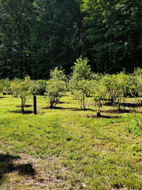 Other - 226 Amesbury Rd, Kensington, NH 03833 photo 7 of 11