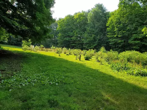 Exterior - 226 Amesbury Rd, Kensington, NH 03833 photo 11 of 19