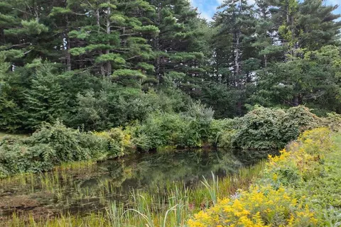 View/Area - 1237 Center Rd, Lyndeborough, NH 03082 photo 1 of 1
