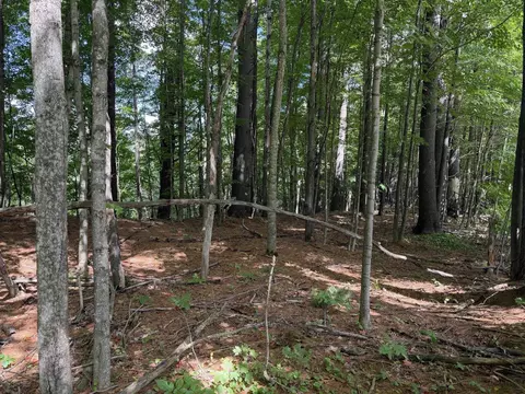 0 Route 242 Rd, Jay, VT 05859 photo 2