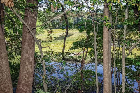 View/Area - 29 Depot Rd, Hampton Falls, NH 03844 photo 6 of 6