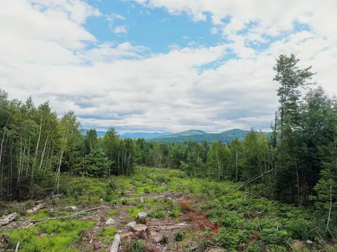 0000 Morin Rd, Guildhall, VT 05905 photo 16