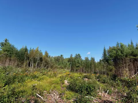 0000 Morin Rd, Guildhall, VT 05905 photo 8