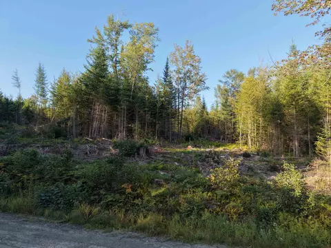 0000 Morin Rd, Guildhall, VT 05905 photo 10