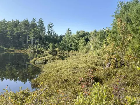 40 Granite Rd, Ossipee, NH 03864 photo 21