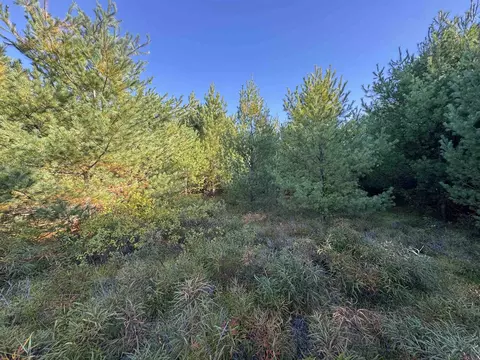 40 Granite Rd, Ossipee, NH 03864 photo 22