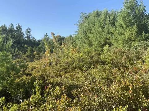 40 Granite Rd, Ossipee, NH 03864 photo 14