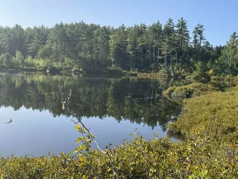 40 Granite Rd, Ossipee, NH 03864 photo 20