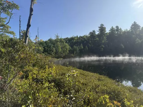 40 Granite Rd, Ossipee, NH 03864 photo 16