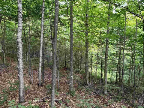 4716 Route 5, Sutton, VT 05867 photo 10
