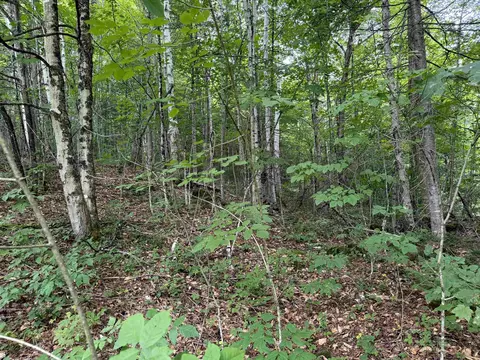 4716 Route 5, Sutton, VT 05867 photo 8