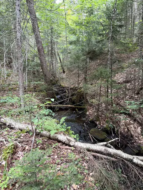 4716 Route 5, Sutton, VT 05867 photo 15