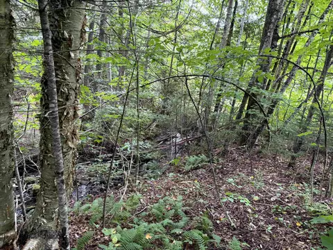 4716 Route 5, Sutton, VT 05867 photo 9