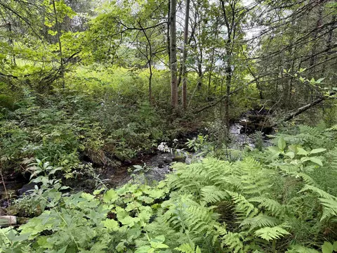 4716 Route 5, Sutton, VT 05867 photo 2