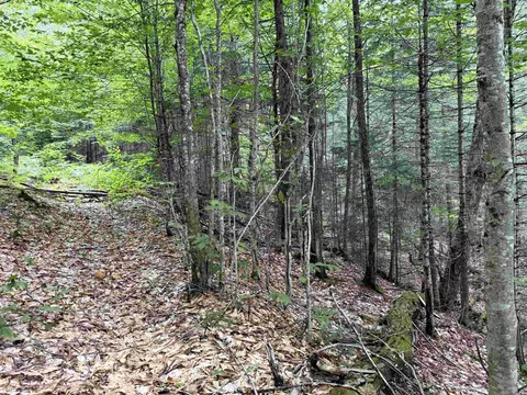 4716 Route 5, Sutton, VT 05867 photo 17