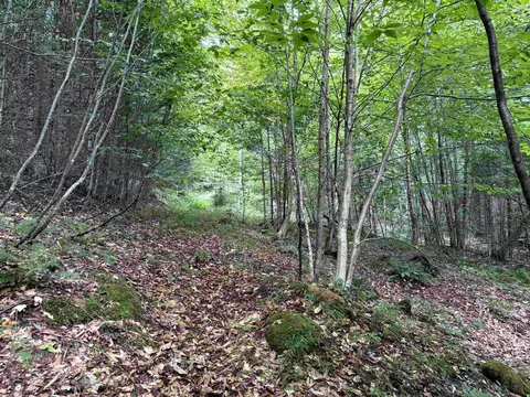 4716 Route 5, Sutton, VT 05867 photo 12