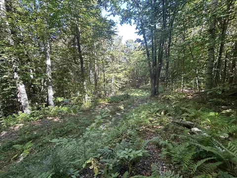 0 W Hill Rd, Jamaica, VT 05343