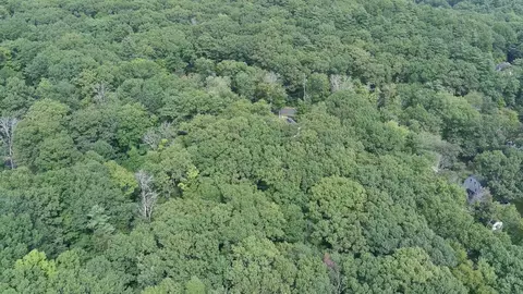 Goodhue Road, Windham, NH 03087 photo 9