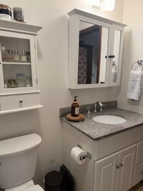 Bath - 46 Foothills Dr, Jericho, VT 05465 photo 3 of 3