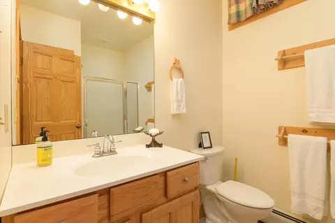 Bath - 259 Beechnut Dr, Peru, VT 05152 photo 5 of 5