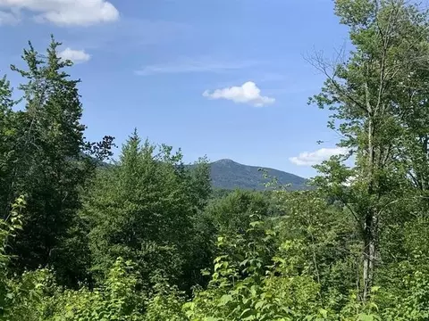 0 Leland Farm Rd #LOT D, Middlesex, VT 05602