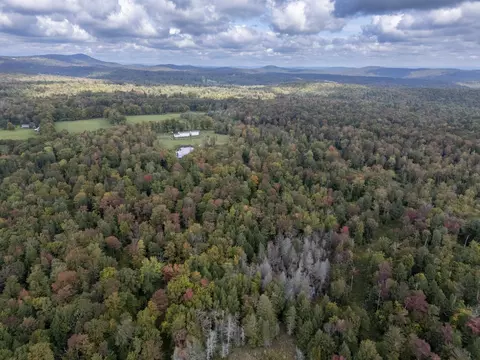 View/Area - 1845 Hatch School Rd, Halifax, VT 05358 photo 5 of 6