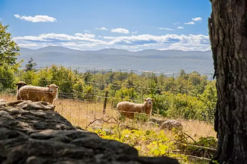 95 Goat Farm Rd, Pittsford, VT 05763