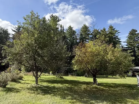 Exterior - 3 Brook Rd, Gorham, NH 03581 photo 5 of 18