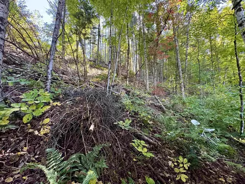 24 Marsh Rd, Columbia, NH 03590