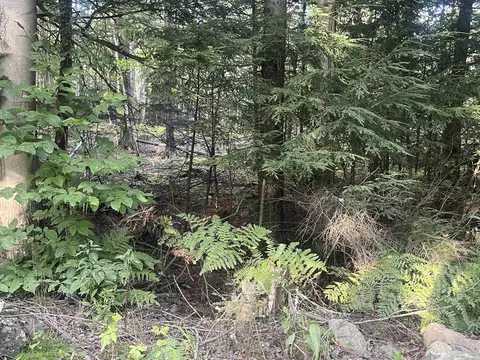 lot2 Clif Reynolds Rd, Cambridge, VT 05444