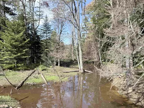 0 Cross Rd, Windham, VT 05359 photo 9