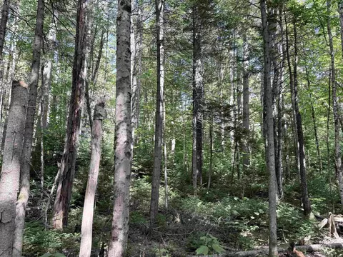 0 Cross Rd, Windham, VT 05359 photo 7