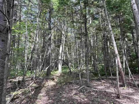 0 Cross Rd, Windham, VT 05359 photo 12