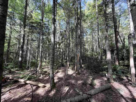 0 Cross Rd, Windham, VT 05359 photo 6