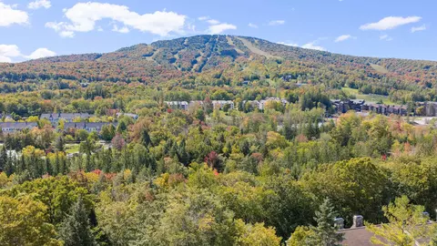 View/Area - 75 E Birch Rd #28, Stratton, VT 05155 photo 1 of 1